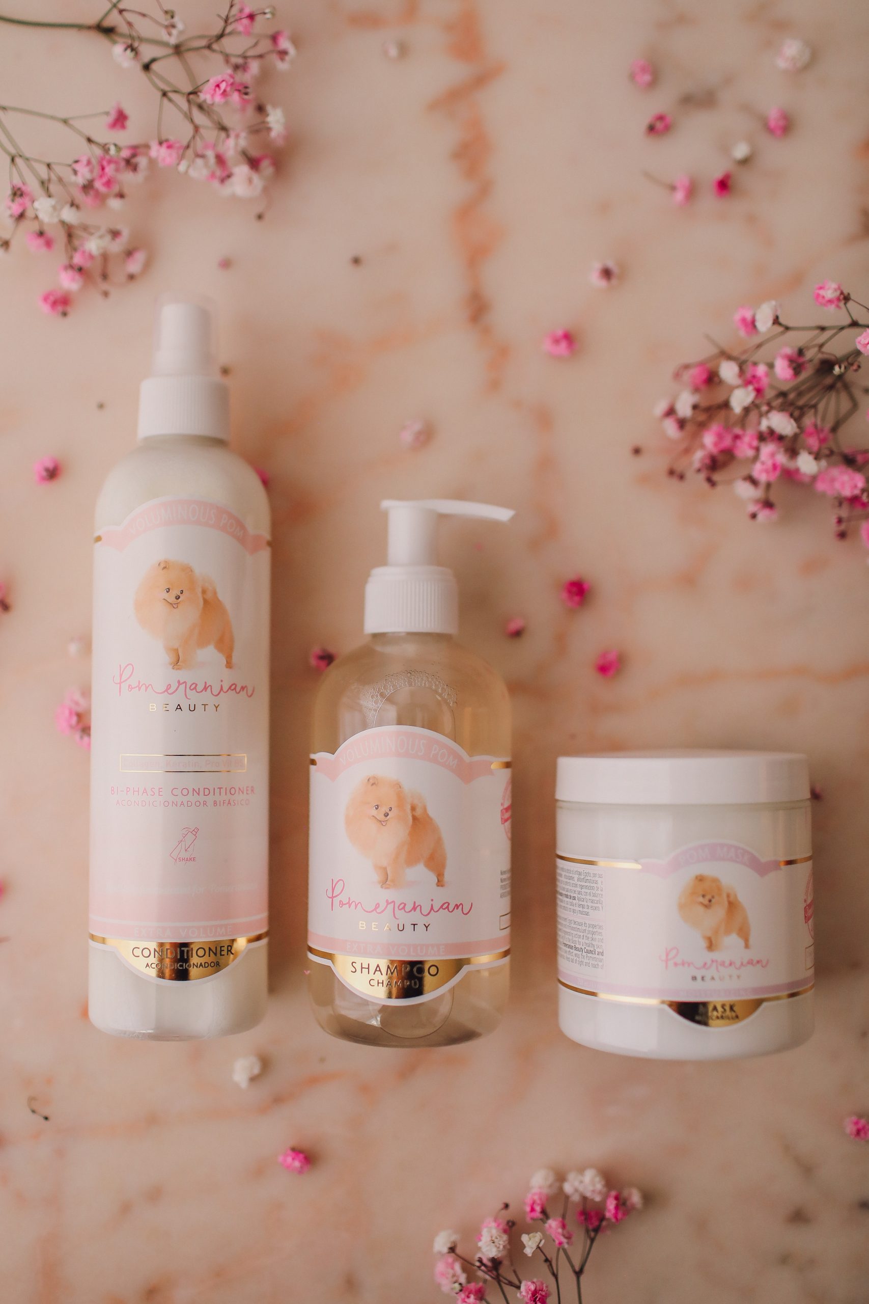 Products for Pomeranian Grooming Pomeranian Beauty