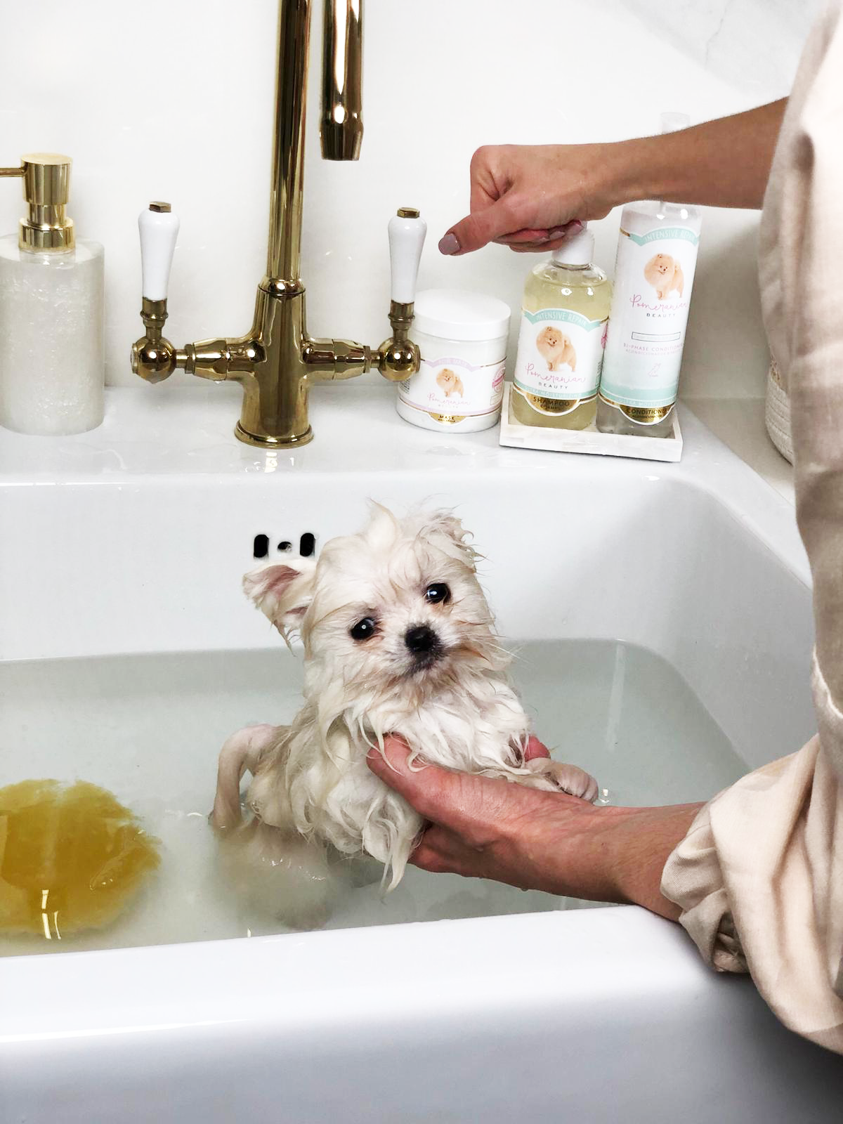 when can i bathe my pomeranian puppy